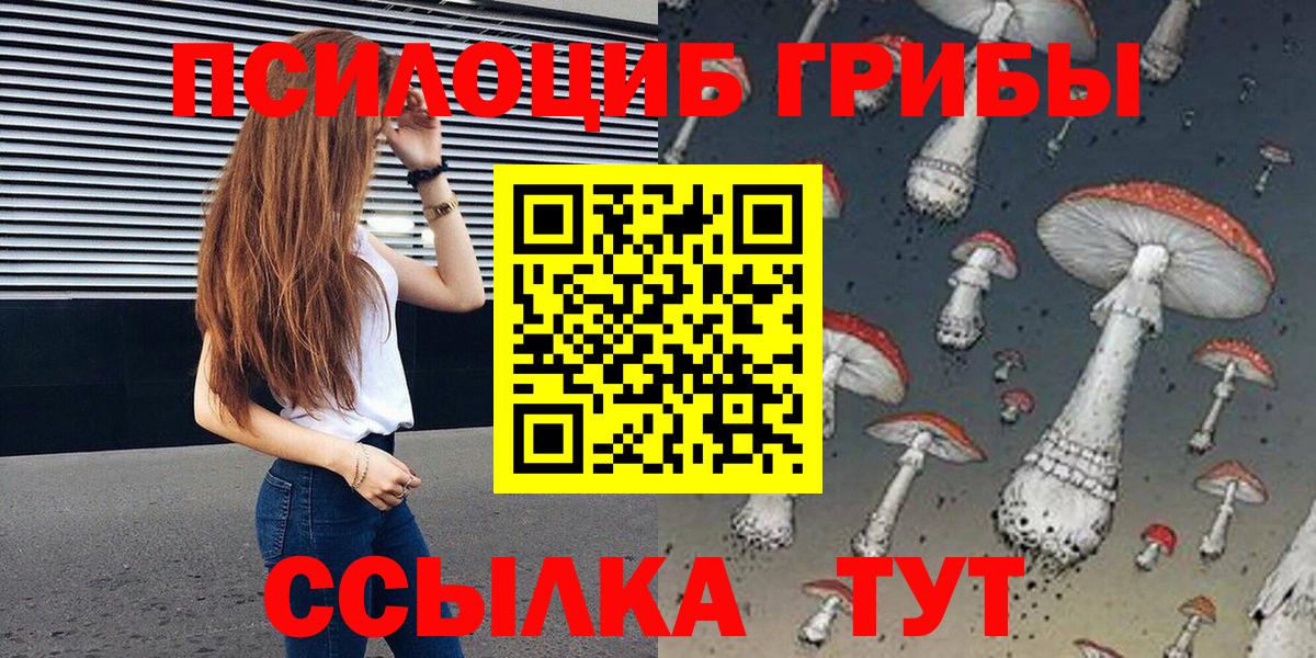 Псилоцибиновые грибы Psilocybine cubensis Среднеуральск