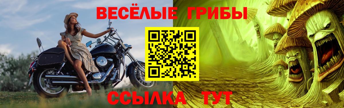 Среднеуральск  Галлюциногенные грибы Psilocybe  Вход с VPN 